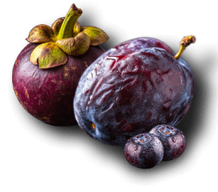 Prune, Acai, Mangosteen, Bilberry