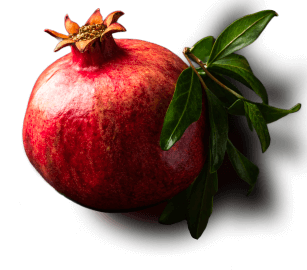 Pomegranate