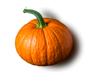 Pumpkin, Ginseng, and Pine Bark: