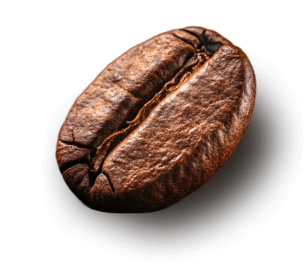 Arabica Coffee