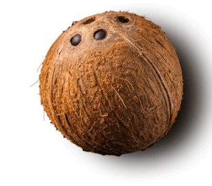 Coconut Oil